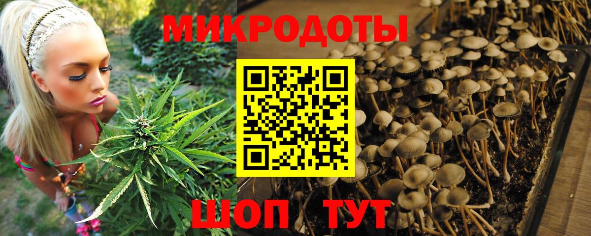 Галлюциногенные грибы мицелий Ачинск